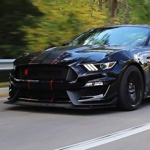 Meet your Posher, Thomas